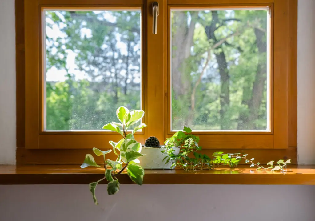 picture windows vs double-hung windows