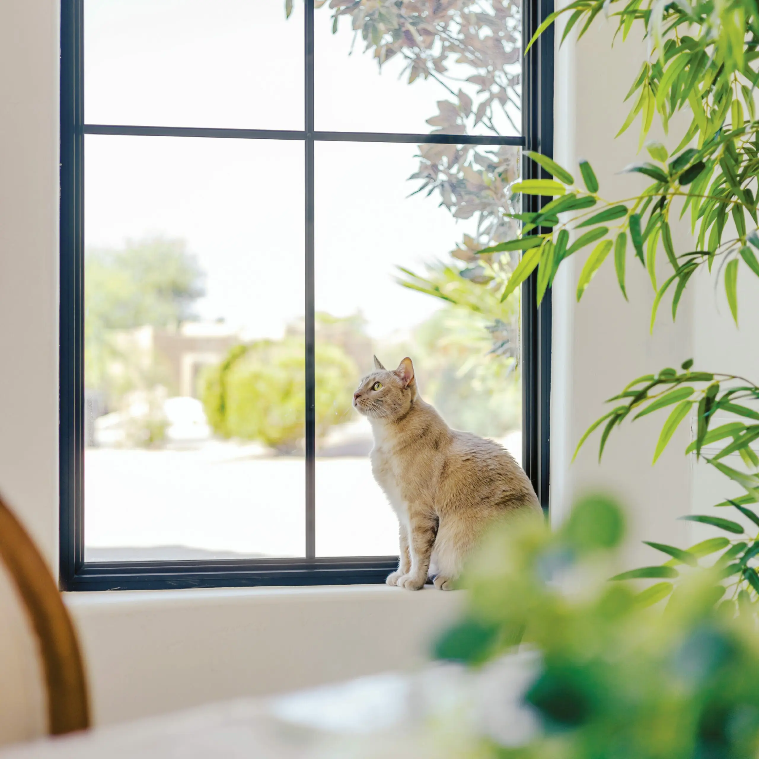 Double Pane vs. Triple Pane Windows