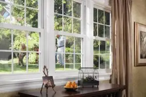 window treatment trends